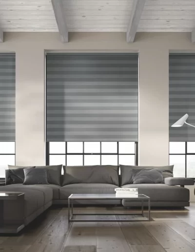 Motorized Day and Night Blinds